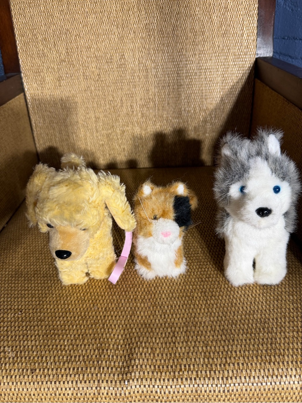 American Girl Doll Pets cat and 2 dogs.
